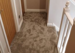 Carpet SALTFORD 1