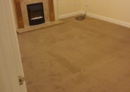 Carpet Whole House WSM 2