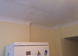 Coving After WSM 009